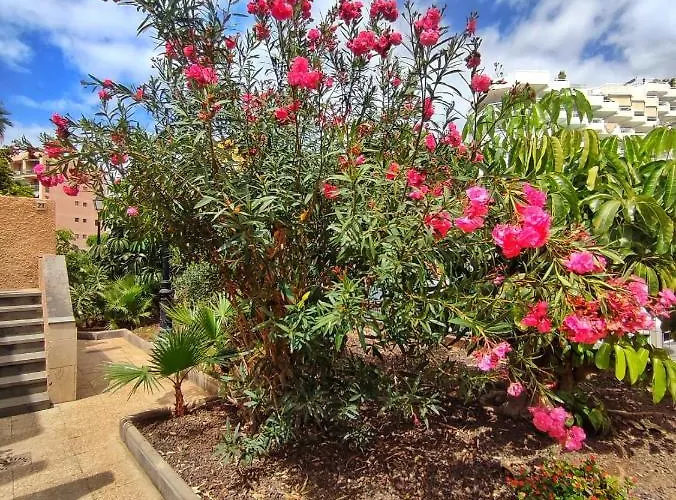 Dreaming Parque De Americas Apartman *